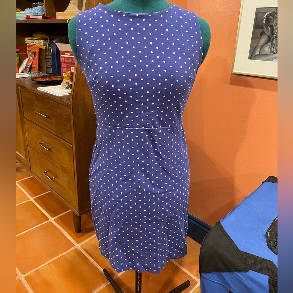 Blue and white polka dot Sheath dress from Old Navy